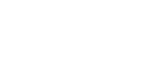Fibwi